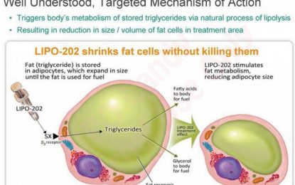 Fat Busting By Injection