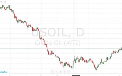 WTI Crude Oil Finds Support During Friday Trading