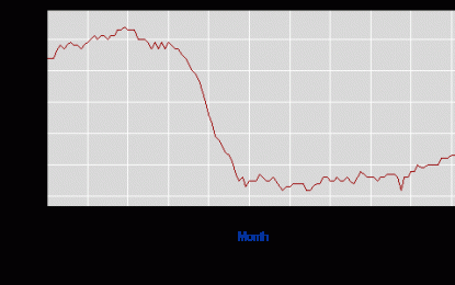 Bond Bubble Will Explode Violently