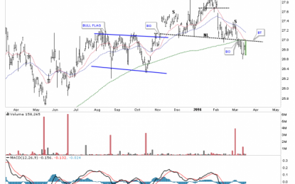 USDU Update… An Important Chart