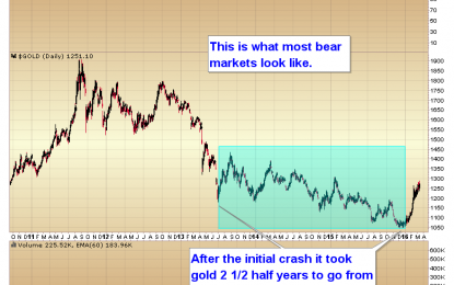 Selling Short: A Fools Errand