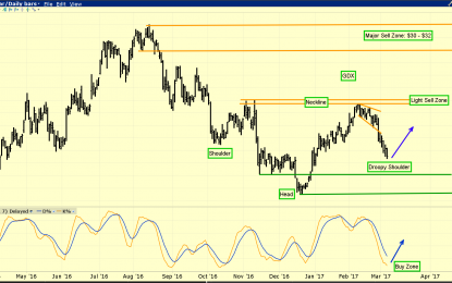 Gold & Bank Stock Lovebirds