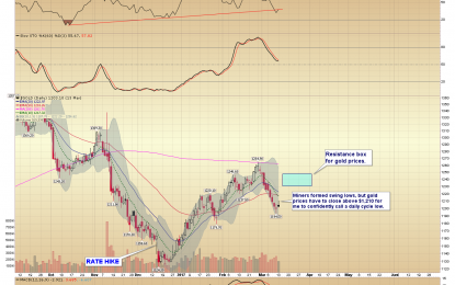 Miners Rallied Nicely Further Endorsing Interim Lows