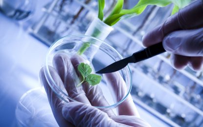 Biotech Digest – JAZZ Reports Positive Results, CTSO Inks New Contract, AMGN Forges Collaboration