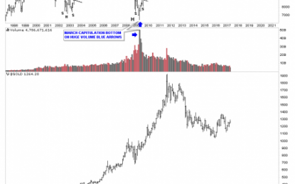 The Most Hated Bull Market In History: Update