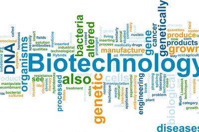 Biotech ETFs Continue To Dominate Momentum Rankings