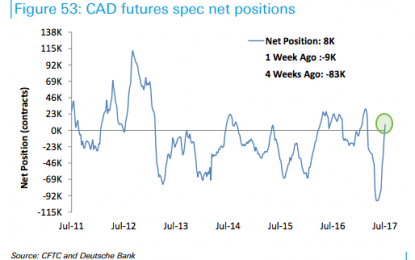 Loonie Tunes: Closing The Book On A Short Gone Horribly Wrong