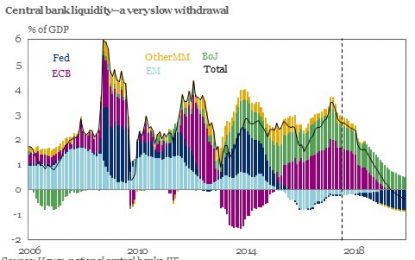 Will Central Bank Liquidity Dry Up In 2019?