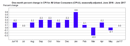 BLS Reports Net Negative Inflation For 5 Months: Anyone Believe That?