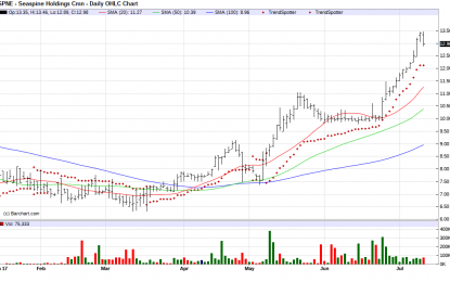 SeaSpine – Chart Of The Day