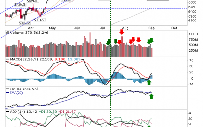 Returned To A Bounce Top?