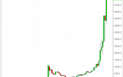 Bitcoin: The Extreme Anomaly