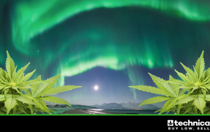 5 Canadian LPs Capitalizing On The Global Cannabis Opportunity