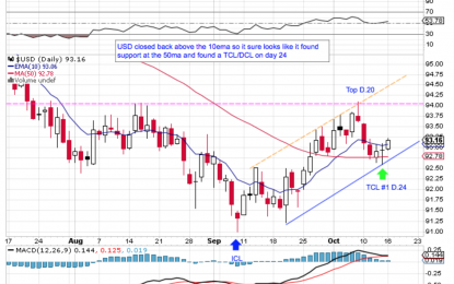 USD Intermediate Cycle Update