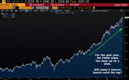 FANG Futures