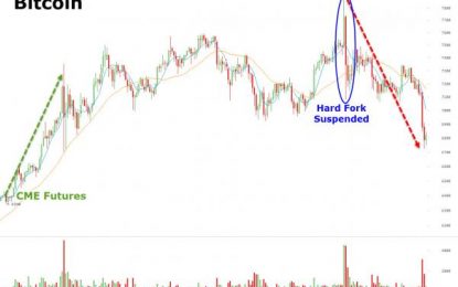 Bitcoin Cash Spikes To Record High As Bitcoin Collapses Over $1000