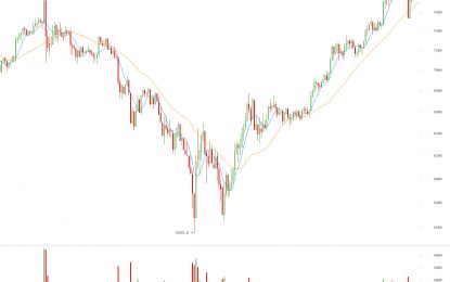 As Bitcoin Nears $8000, American Investors Plan To ‘HODL’ Until It Hits $196,000