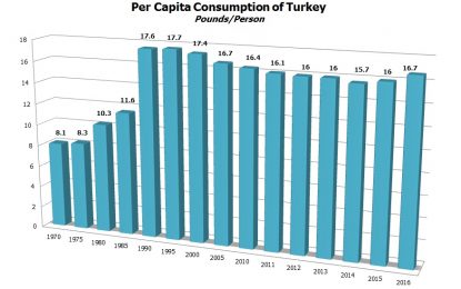 An Economist Chews Over Thanksgiving