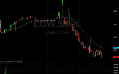 Lowe’s Companies Shares Plummet Despite Q3 Profit