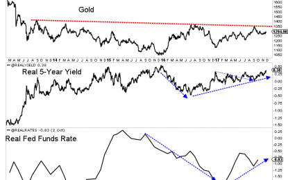 Gold Fundamentals Not Bullish Yet