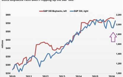 The Dumbest Dumb Money Finally Gets Suckered In