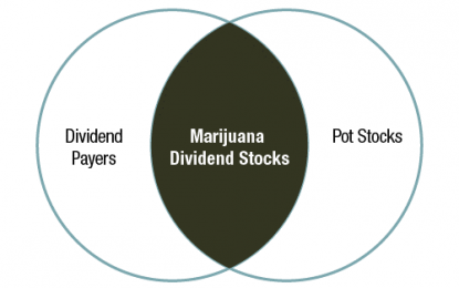 These Three Stocks Are Where Marijuana And Dividends Intersect