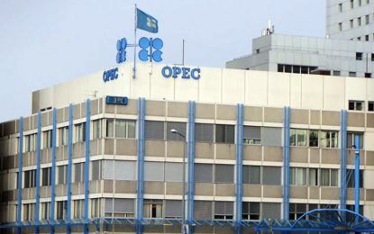 OPEC: Now What?