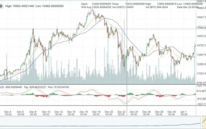 The Difference Between A Bitcoin And A Tulip