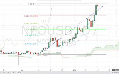 NEO Coin Overview As It Rallies While Other Cryptocurrencies Drop