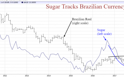 Will “Real” Rally Sweeten Sugar?