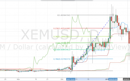 XEM/USD Analysis After NEM Theft From Japanese Cryptocurrency Exchange