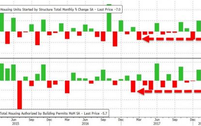 Housing Starts, Permits Plunge In February As Rental Units Crash