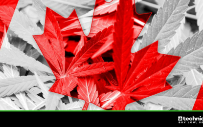 3 Canadian LP’s Capitalizing On The Global Cannabis Movement