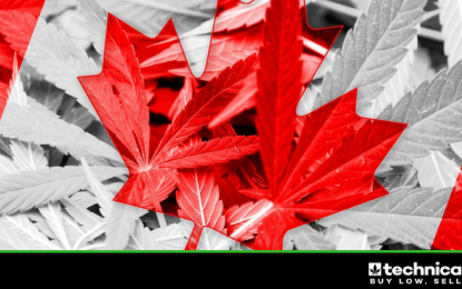 3 Canadian Cannabis Updates Investors Need To Know