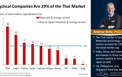 Cyclical Companies Are 29% Of The Thai Market