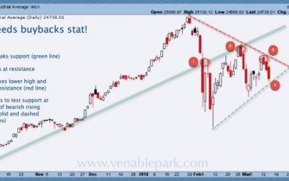 Testing Financial Cycle Mania