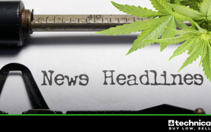 3 Canadian Licensed Producers That Are Making Headlines This Week