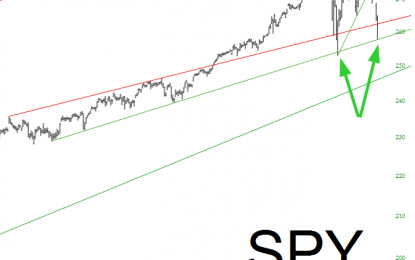 The Counter-Argument For A Bullish Bounce