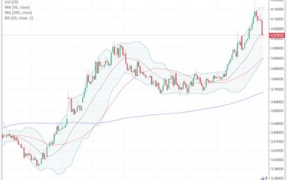 Forex Critical: Turkish Lira Snaps Back With Snap Elections