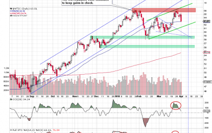 Oil Bears – Stay The Course