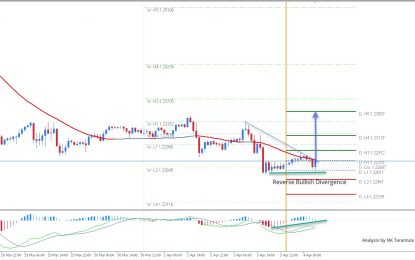 EUR/USD Reverse Bullish Divergence At W L3 Pivot