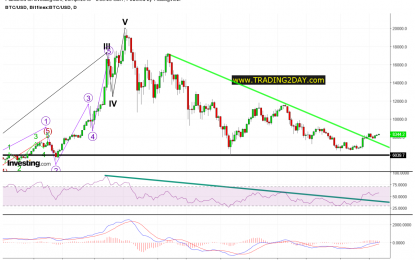 Cryptocurrencies: Bears Were Warned