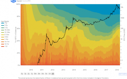 Trending Chart: HODL Chart