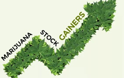 5 Of Today’s Biggest Marijuana Stock Gainers – Friday, June 29