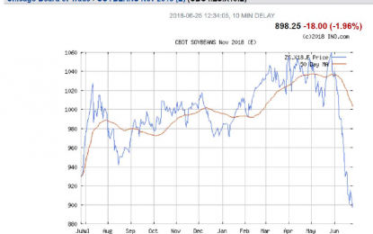 Will Soybean Prices Recover When China Starts Buying American In The Autumn?