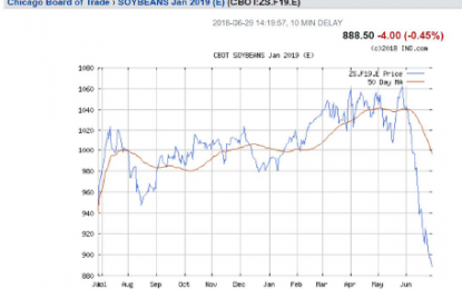 How Will Soybean Prices Be Faring In Six Months?