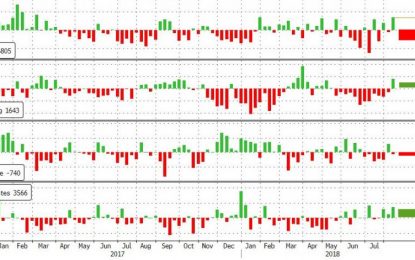 WTI Rebounds After Bigger Than Expected Crude Draw