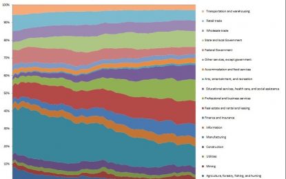 New Risk Resistant Economy