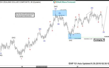 NZD/USD Elliott Wave Analysis: Double Correction Taking Place