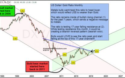 Gold Bugs, Is A 17-Year Opportunity Forming